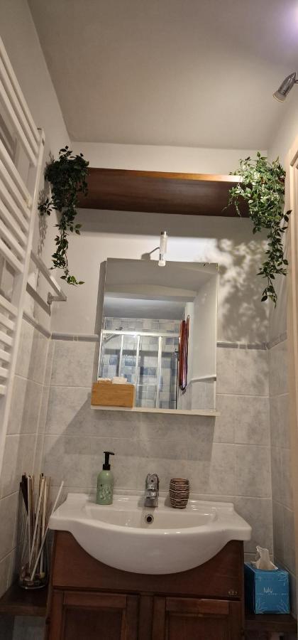 Monica Appartamento Con Giardino Al Ponte Vecchio Florencja Zewnętrze zdjęcie